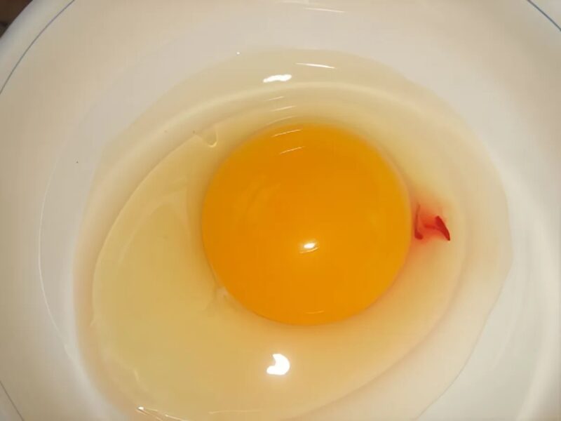Vous cassez un œuf pour préparer votre omelette… et vous tombez sur une petite tache rouge, que faire