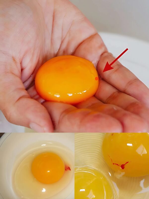 Vous cassez un œuf pour préparer votre omelette… et vous tombez sur une petite tache rouge, que faire