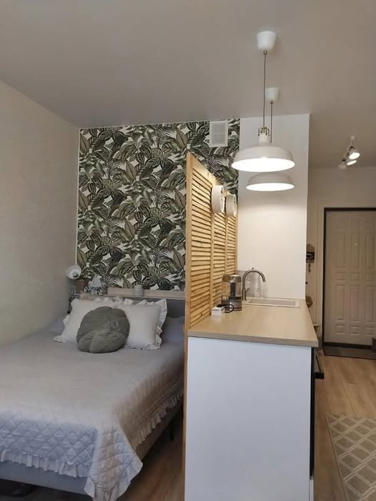 Comment transformer un studio de seulement 24 m² en un véritable cocon de rêve : l’histoire inspirante d’Élise