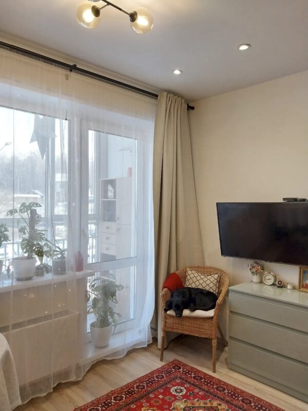Comment transformer un studio de seulement 24 m² en un véritable cocon de rêve : l’histoire inspirante d’Élise