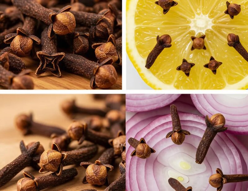 Le citron et le clou de girofle : le secret naturel qui va vous surprendre