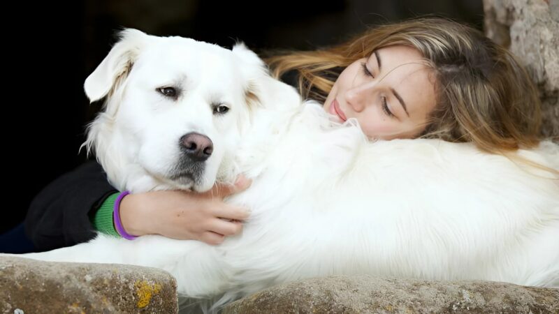 De la douleur à la lumière : le destin bouleversant d’une famille sauvée par l’amour, la foi et un chien