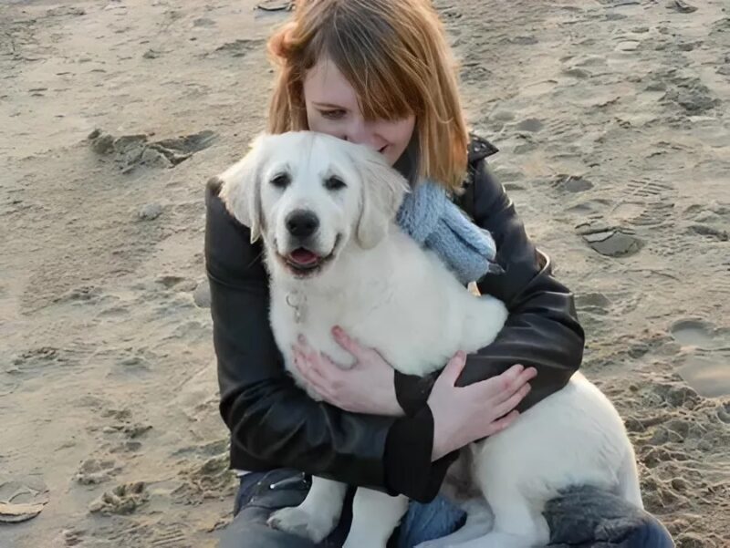 De la douleur à la lumière : le destin bouleversant d’une famille sauvée par l’amour, la foi et un chien