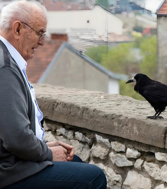 Il pensait simplement nourrir un oiseau, mais ce que ce corbeau lui a ramené un an plus tard lui a réchauffé le cœur