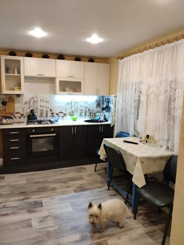 Ils ont annulé leurs vacances pour transformer leur cuisine, et le résultat dépasse tout ce qu’on imaginait