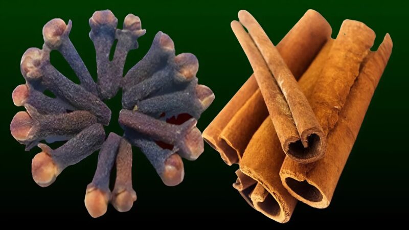 Mélangez des clous de girofle, du miel et de la cannelle et vous me remercierez