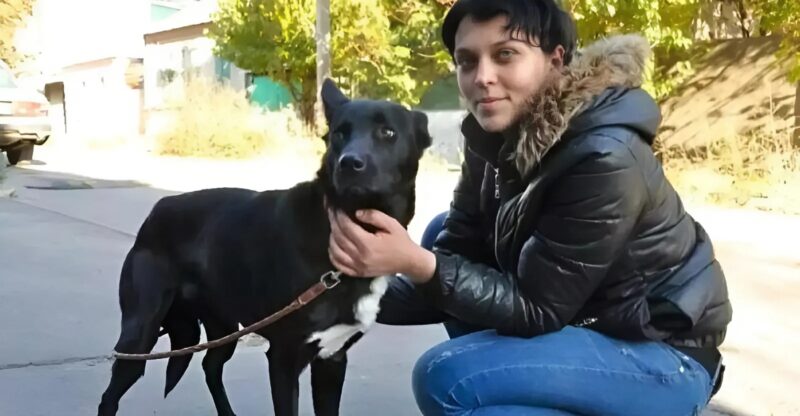 Il a parcouru 322 kilomètres, pas pour fuir ni se perdre, mais pour remercier l’humain qui l’a sauvé